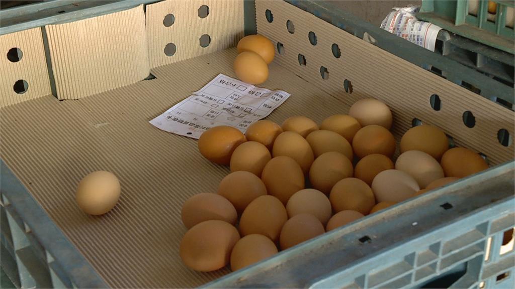 「2+3」補助措施到期不延長　蛋價一斤漲2元