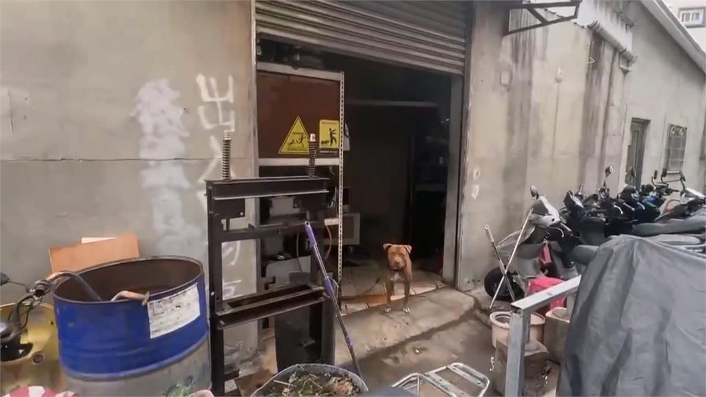 這裡更恐怖！移工躲警闖民宅　糗遇「比特犬」嚇壞遭逮