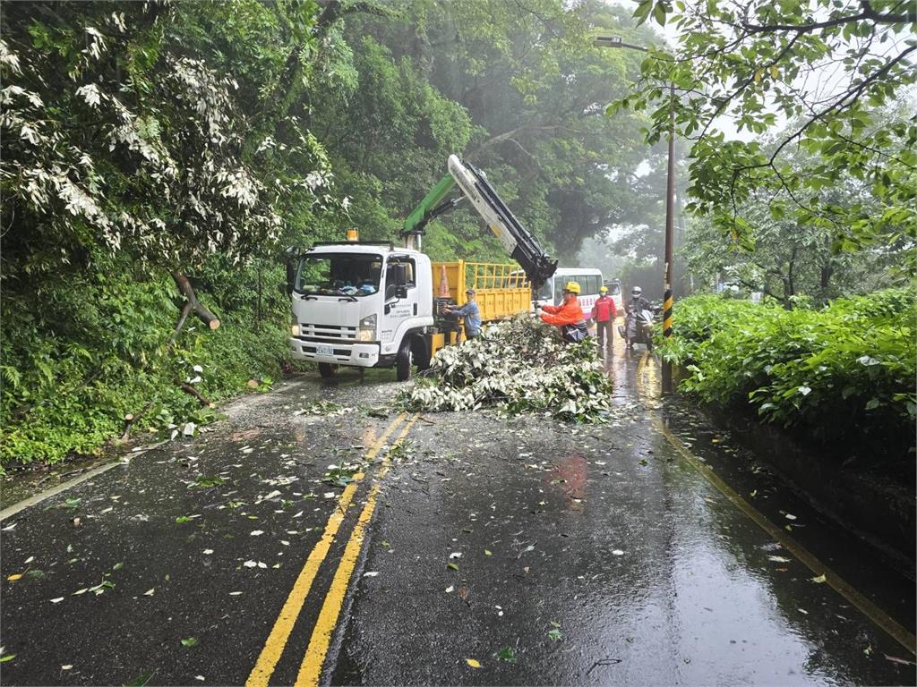 快新聞／暴雨狂炸北市！北投山區路樹倒塌橫躺「整條路封死」