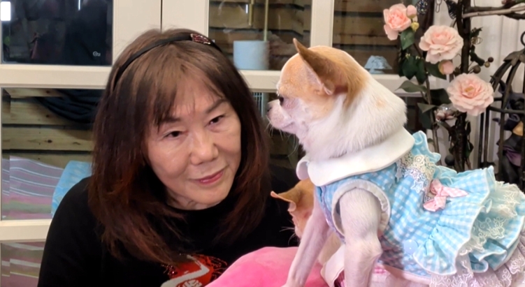 資優吉娃娃! 會解開根號題目 飼主曝5個月時發現潛能