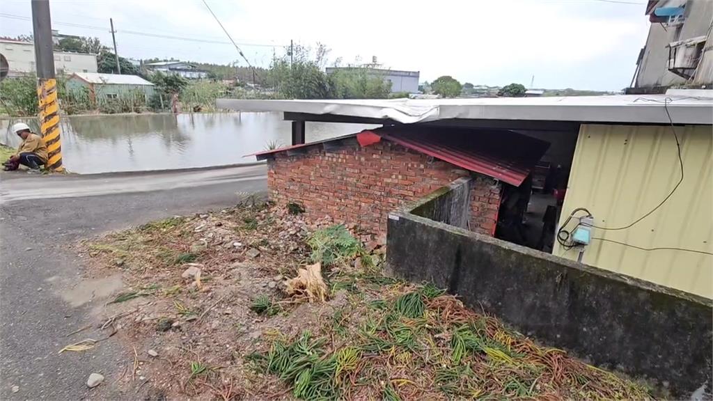 東北季風發威！颳8級陣風　頭城路樹倒砸民宅幸無人傷