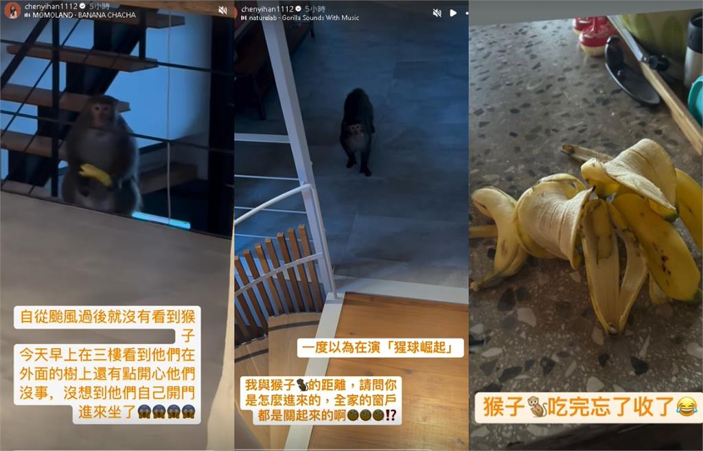 陳意涵豪宅「突闖不速之客」驚嚇片曝!亂丟香蕉皮「正面對決」:怎麼進來?