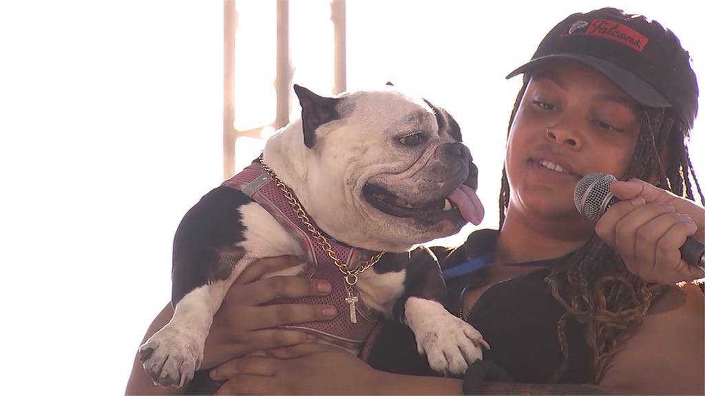 醜到可愛！世界最醜狗大賽　混種鬥牛犬「矮牽牛」奪冠