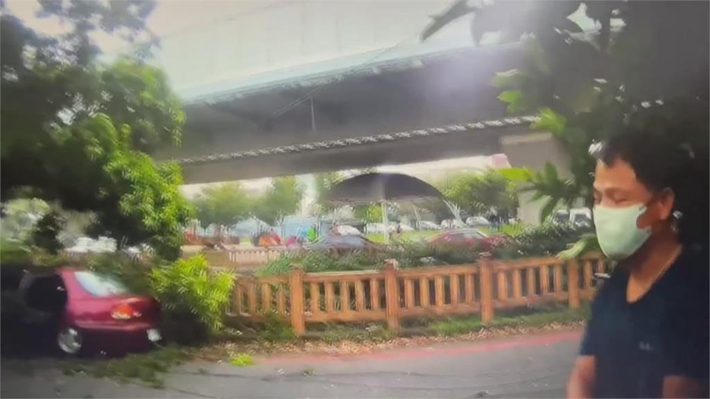 一陣強風襲來！嘉義市大樹遭吹垮　壓毀汽車　「駕駛一度受困」
