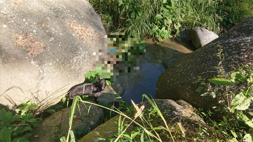 9旬阿嬤初三跟家人遊溪頭　走失兩天不幸罹難