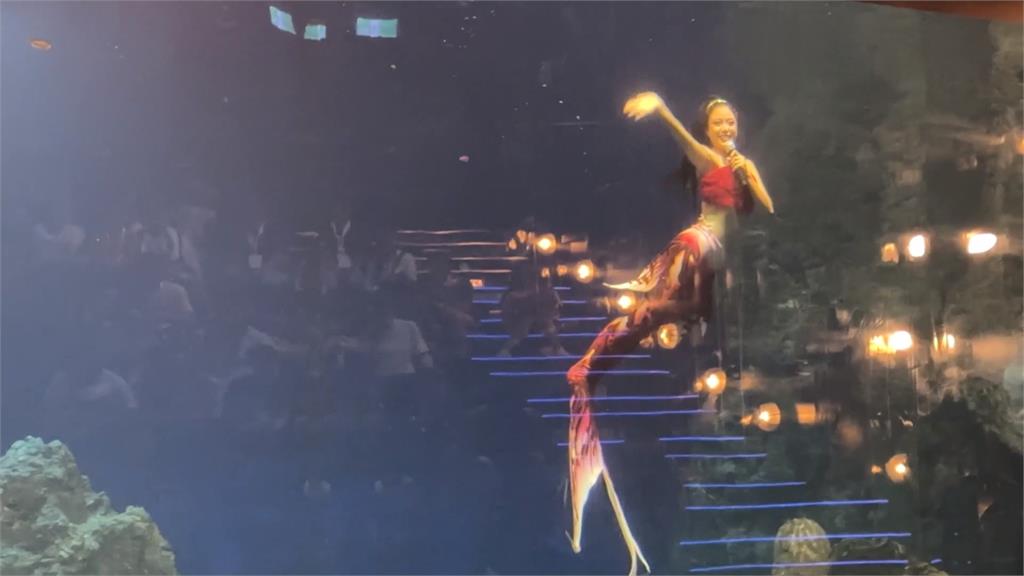 花蓮海洋公園「人魚賽事」登場!多國美人魚齊聚水中競技