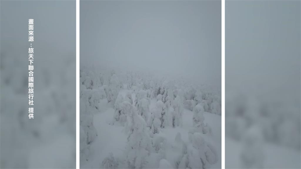 日本東北「樹冰」美景隱藏危機 連傳兩起意外「鬆雪」恐致命