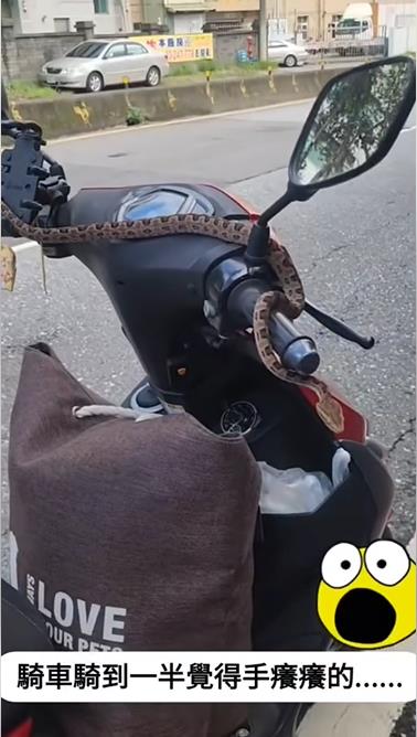 「小龜」從天而降驚悚畫面曝光!網嚇爛喊:機車騎士竟淡定立中柱