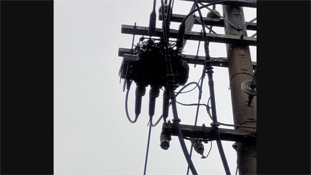 打雷、鳥築巢釀禍 高雄鳳山、大社上千戶停電