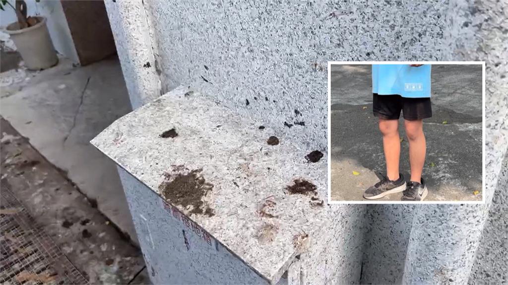 侵門踏戶! 林內鄉獼猴入侵便溺.威脅攻擊人