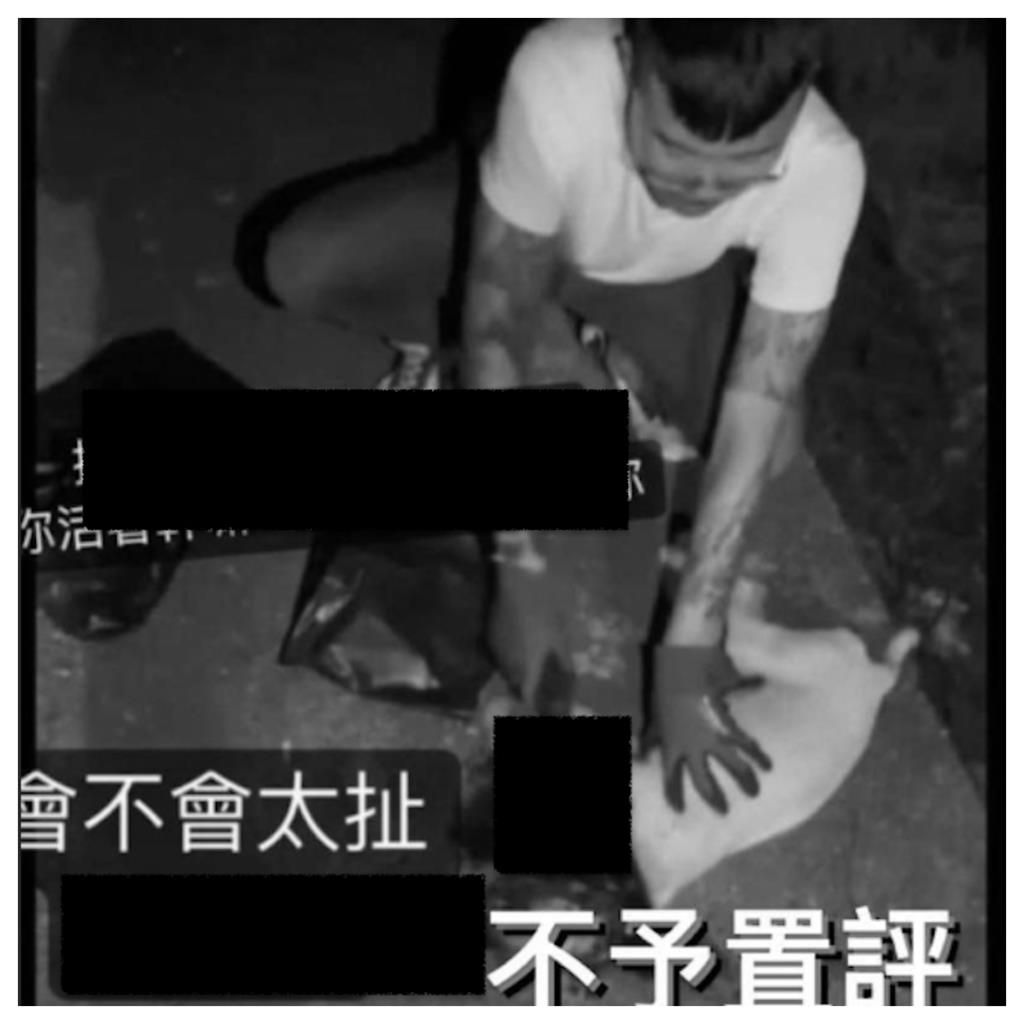 黑幫虐狗練膽？「分屍浪犬」刺青8+9投案　親吐因1事痛下殺手