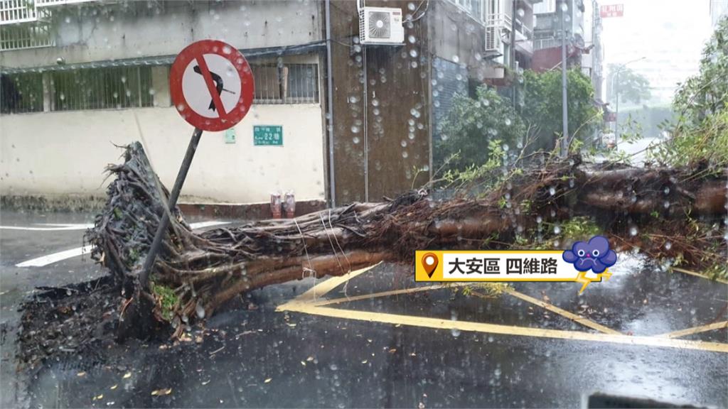 午後大雷雨狂炸雙北地區　瘋狂閃電一分鐘逾400次