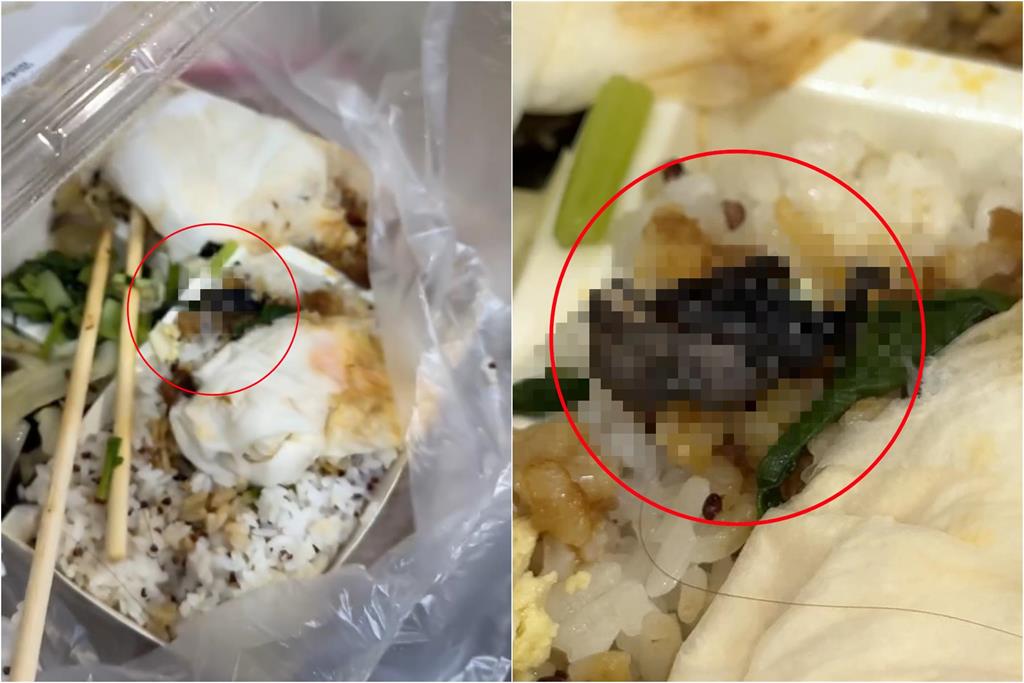 便當驚見「整隻蝙蝠寶寶」!店家跳針「說1事」惹怒苦主 衛生局要查了
