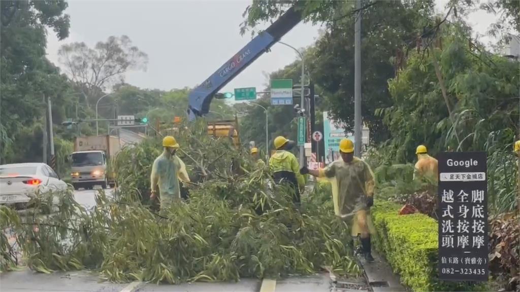 大雷雨襲金門!低漥地區慘淹 黃牛「受困汪洋」畫面曝光