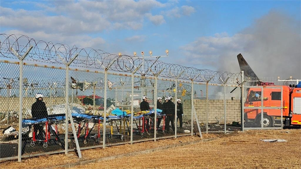 南韓忠犬小八!濟州墜機一家九口全罹難 狗狗「獨守空屋」癡等不肯走