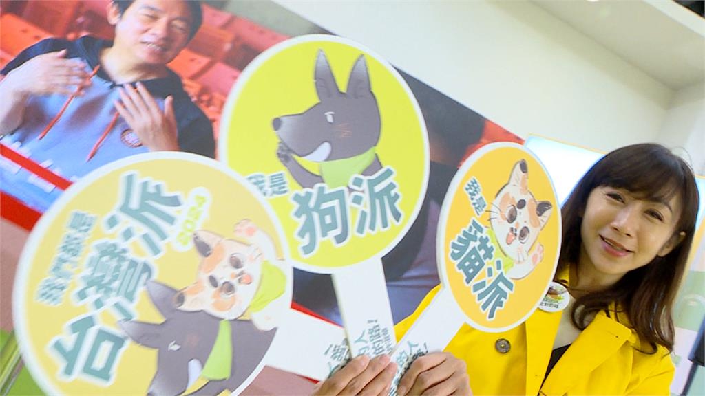 眾小雞盼著　蕭美琴帶四隻愛貓返台了　　　　「台灣戰貓」投入選戰行程滿檔
