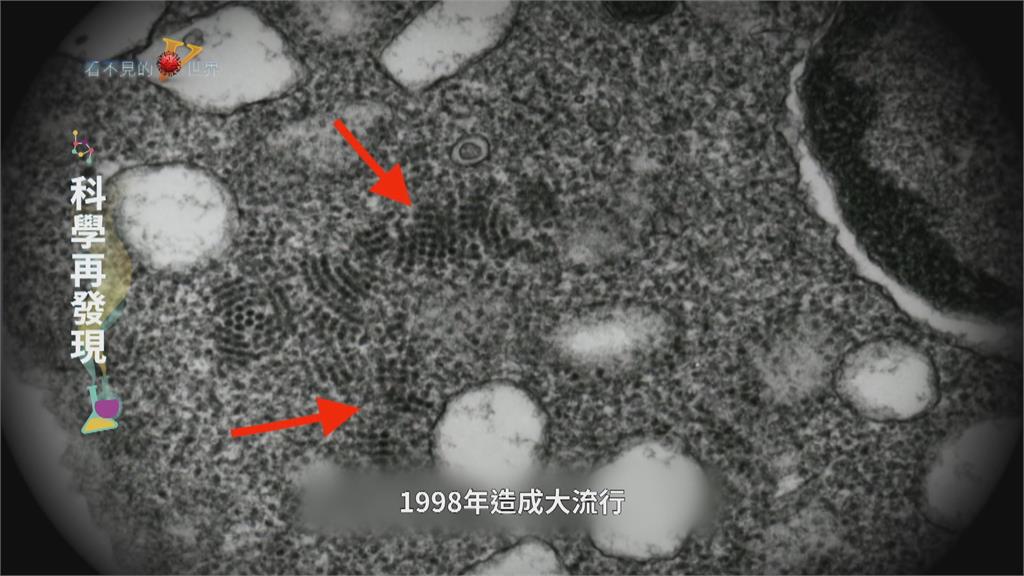 國產疫苗技術研發 積極對抗腸病毒