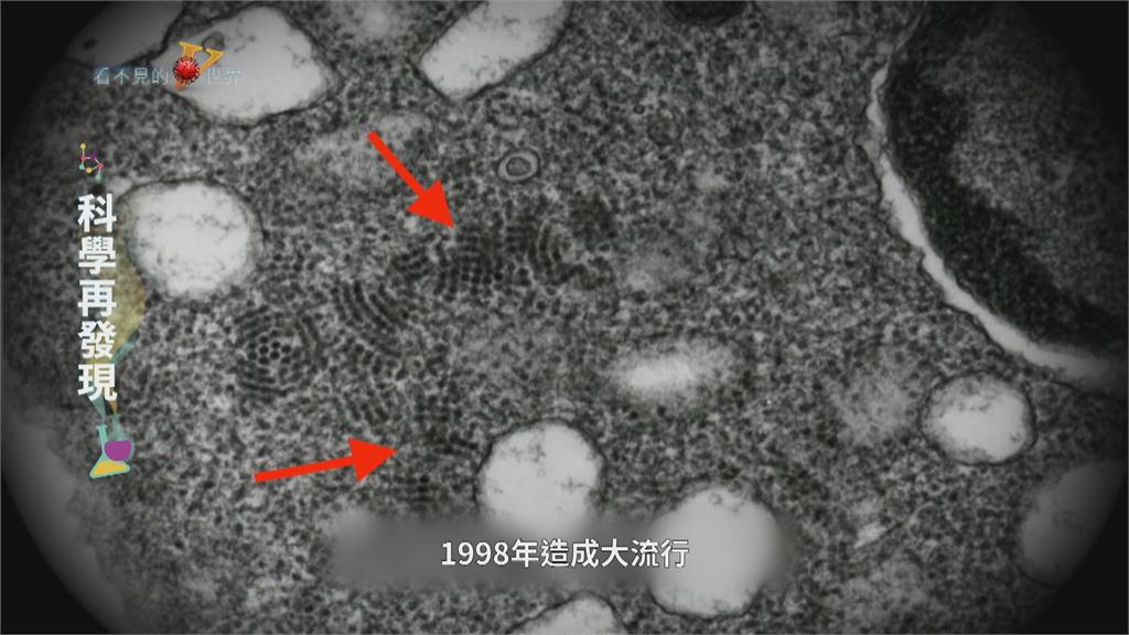 國產疫苗技術研發　積極對抗腸病毒