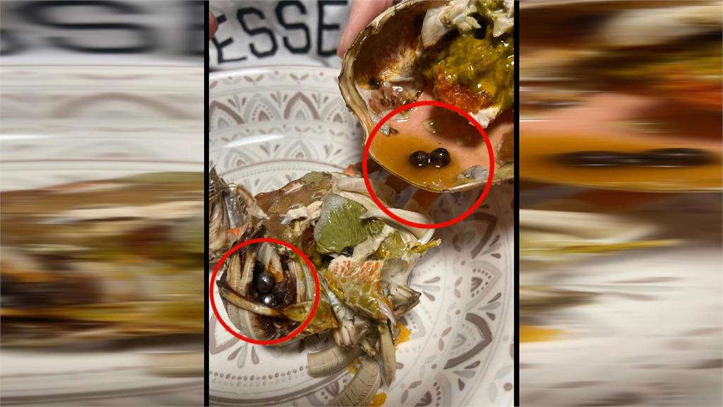 增重詐術？螃蟹裡驚見「14顆小鋼珠」　專家：疑病變異物