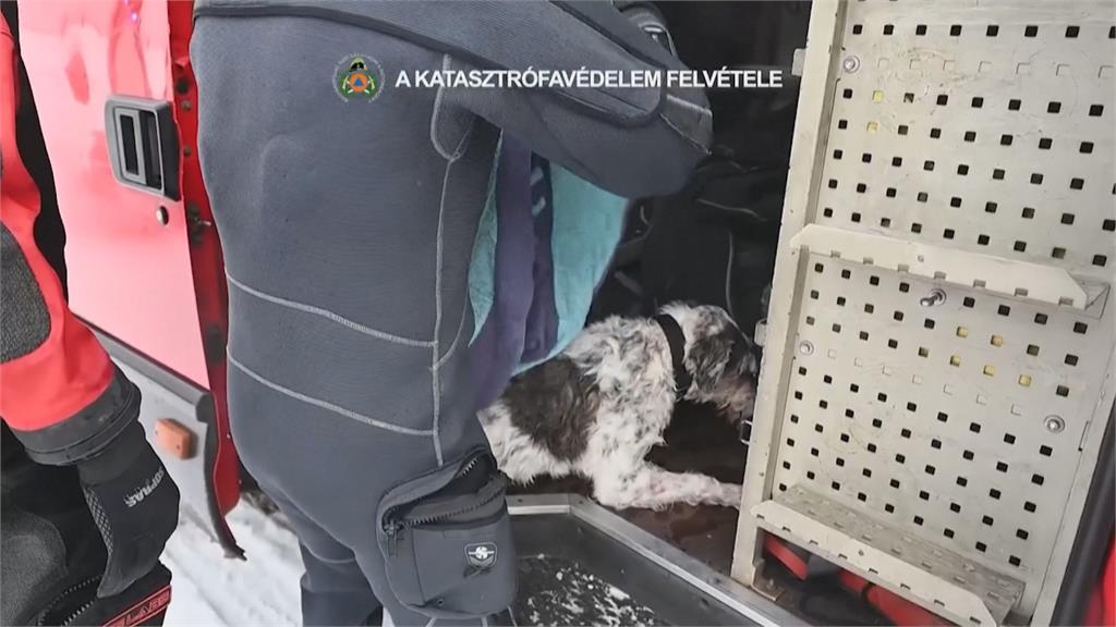 貪玩小狗受困結冰湖中 消防員展開冰雪救援