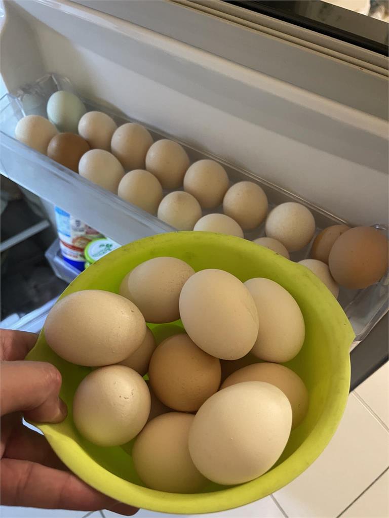 台南人開冰箱秀蛋質疑「哪裡缺蛋？」　意外敲響南北大戰：哪裡缺水？