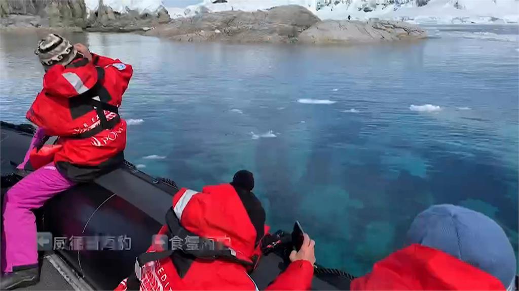 17天南極遊輪團費75萬起跳　高端客當場下定