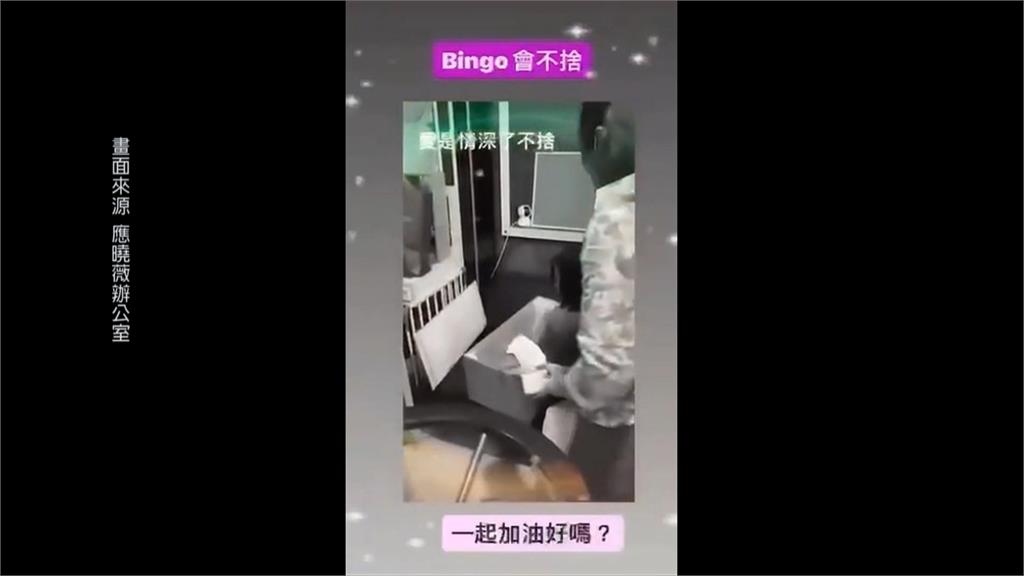 愛犬住宿竟被活活咬死 飼主北上陳情控寵物旅館疏失