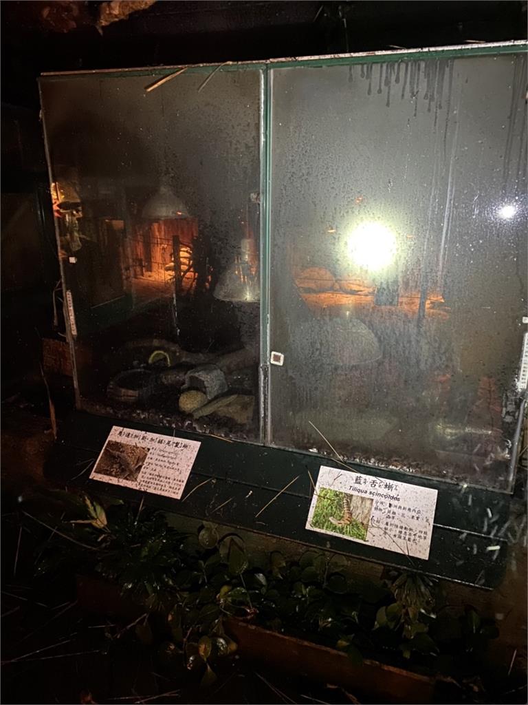 快新聞／新竹綠世界農場凌晨失火　3隻蜥蜴受困葬身火窟