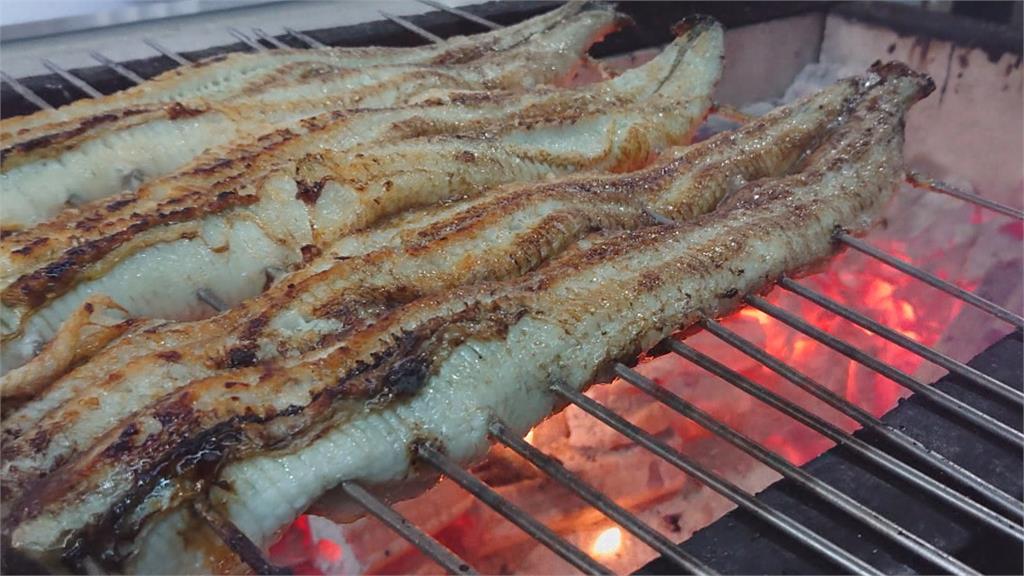疫情下的美味確幸!「銷日級鰻魚」留在台灣便宜吃