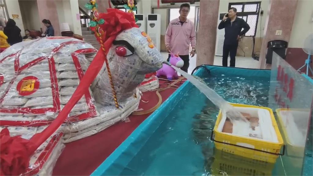 澎湖元宵「乞龜」求平安　431兩金靈龜身價破8千萬