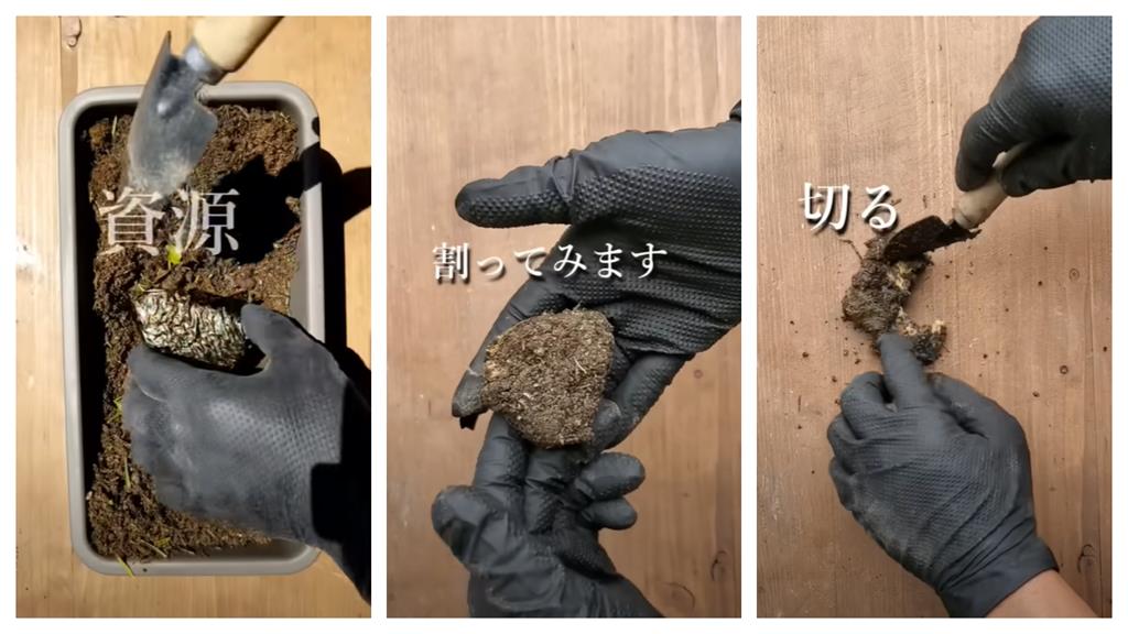 日本YTR過期飯糰埋土裡　1個月後「鮭魚內餡沒變」網歪樓：微生物超萌！