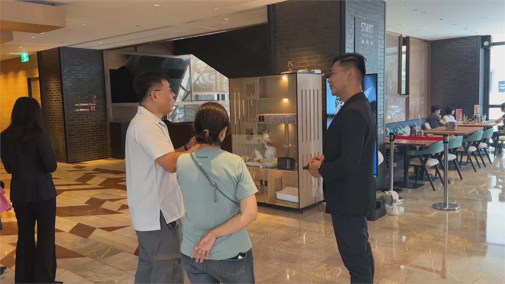 飯店變貓貓會客室 高雄創新認養計畫助浪浪找家