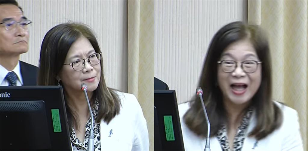 謝龍介質詢「飆錯部長超尬」管碧玲被逼瘋！她再「補槍2句」網崩潰：我笑不停