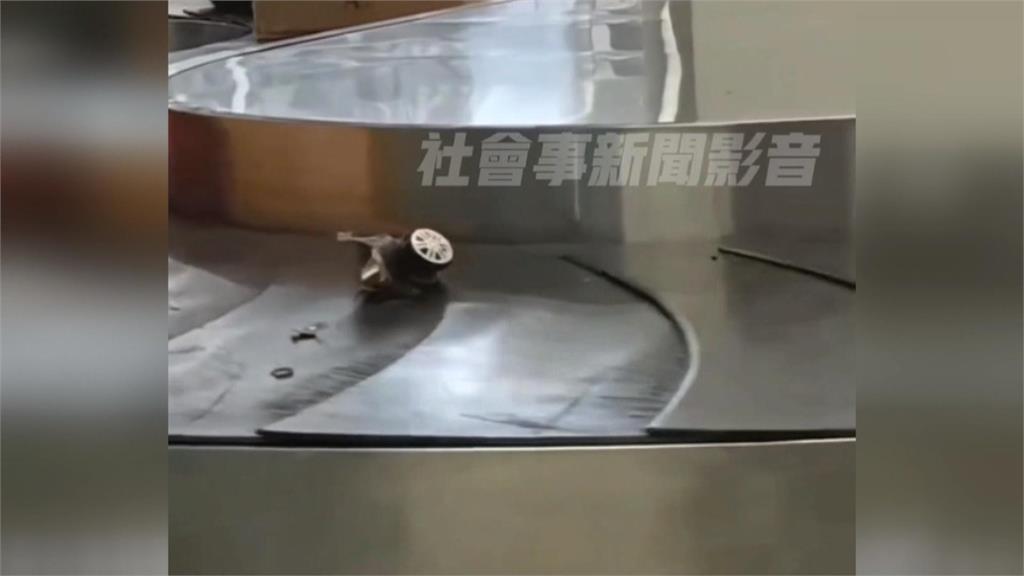 返國赫見行李箱殼被摔爛、滾輪解體 網諷:是提早空投下來的嗎?