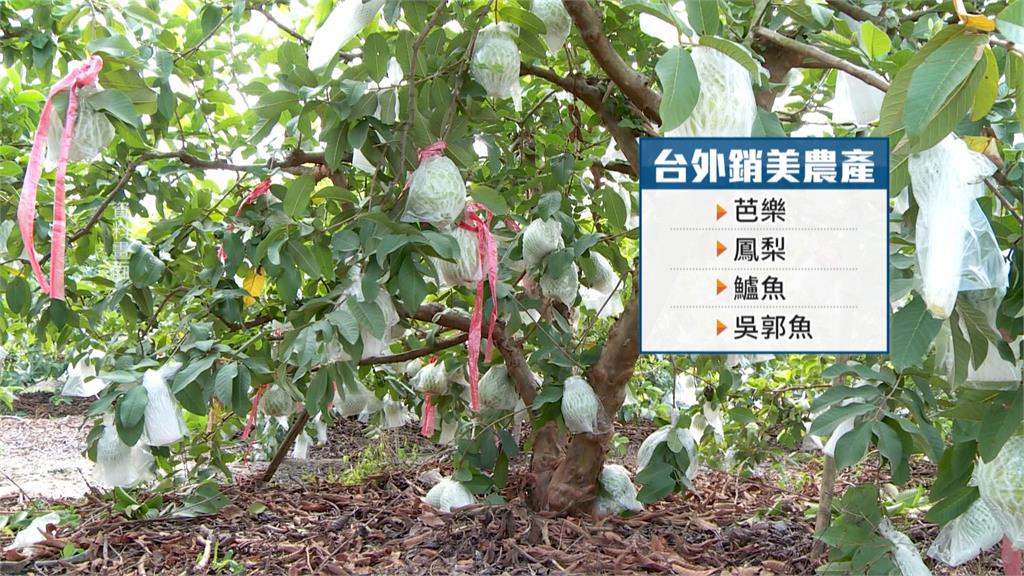 若台關稅15%以上4產業挫咧等 中經院院長連賢明:是川普說了算