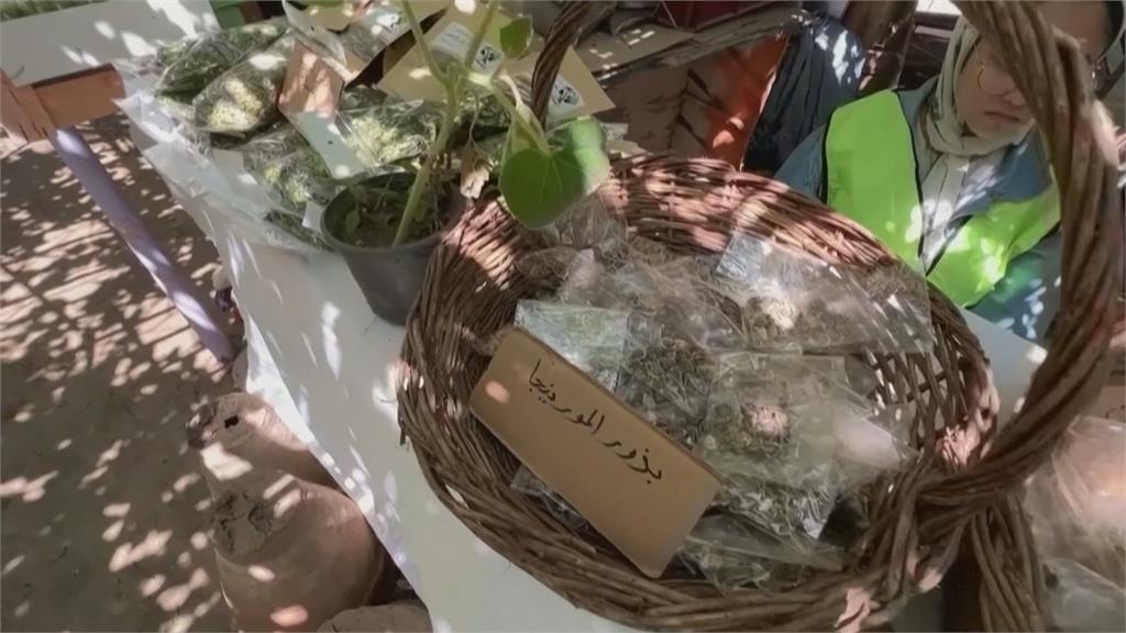 垃圾場變身美麗植物園 販售有機農產品兼顧環保