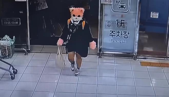 南韓貓面女闖玩具店「持刀追小孩」!遭逮時「全程喵喵叫」驚悚畫面曝光