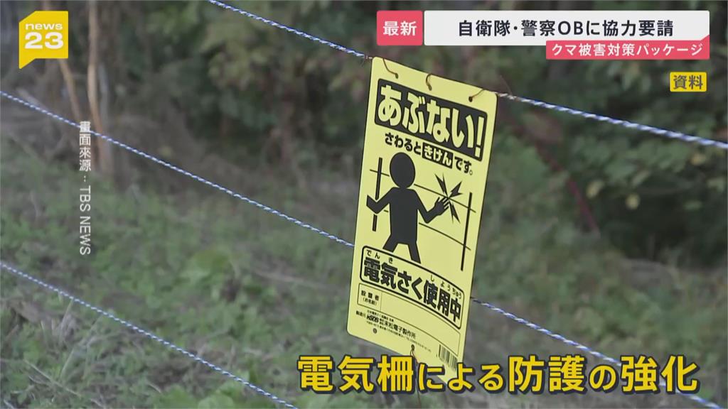 日本熊害範圍續擴大! 青森罕見「熊游泳」日媒直呼神出鬼沒