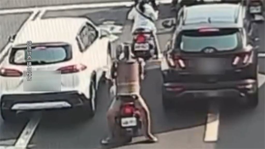 危險！高雄騎士後座綁禮物山　台南雙載反向乘坐手抱大金爐