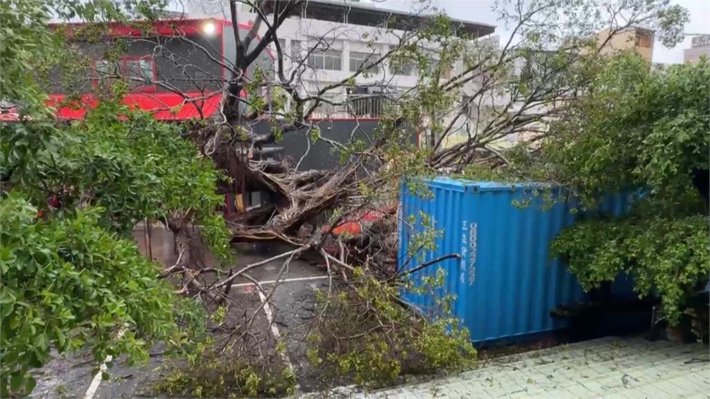 強風豪雨釀災情　桃園楓樹國小牆壁坍塌、台南老樹傾倒