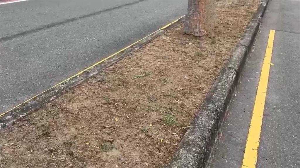 清潔員自備紙屑拍完照再夾起　整個過程被民眾拍下