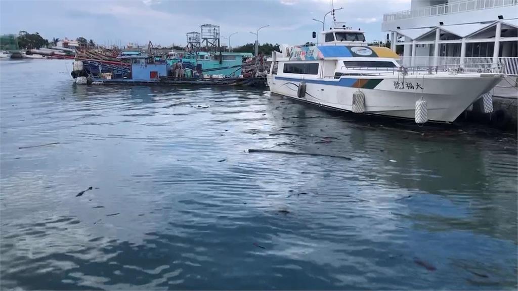 颱風後遺症！小琉球鹽琉線海面　漂大量「漂流木」阻船隻交通