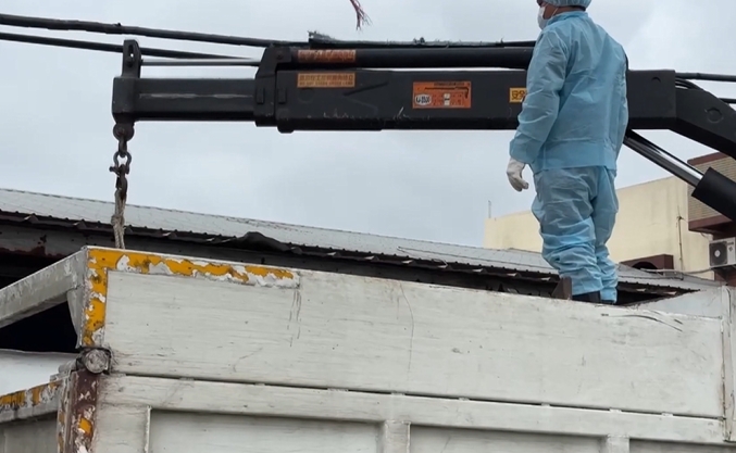 遭裁罰！紀姓特約獸醫：情意已盡　曝明年起不再跟畜牧場簽特約獸醫