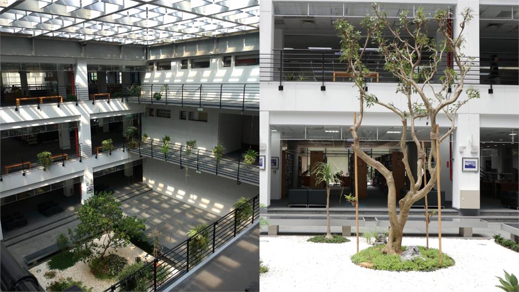 全台最漂亮大學圖書館!網狂讚「這間」像高級飯店 公私立霸主出爐