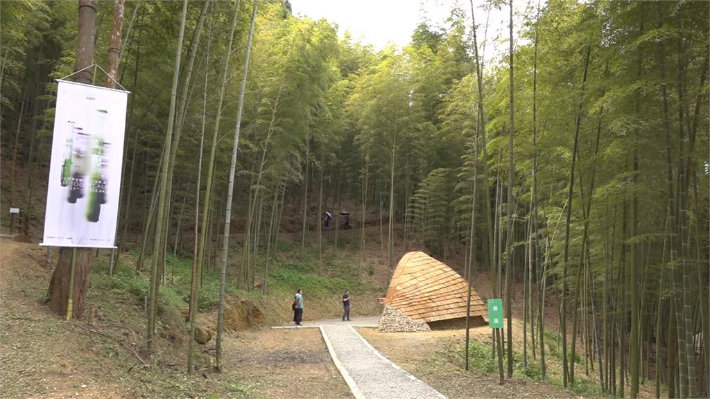 春遊草嶺！　雲嶺之丘賞雲海　翠綠竹林如「武俠電影」