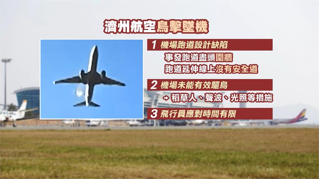 濟州航空疑遇鳥擊失事　專家：恐因此系統全失效