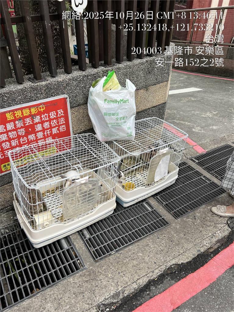 基隆路邊驚現「10兔」公母同籠 飼主嗆:沒棄養、告動保所侵占