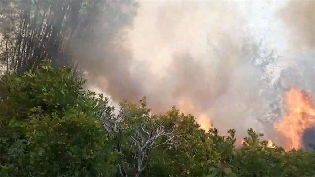苗栗通霄野火竄燒! 兩起山林火警消防疲於奔命