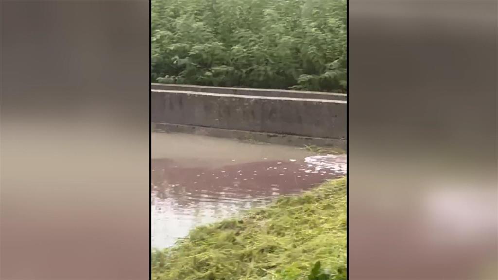 宜三星鄉紅色與綠色髒水流入農田中　外籍移工將「這玩意兒」倒入水溝
