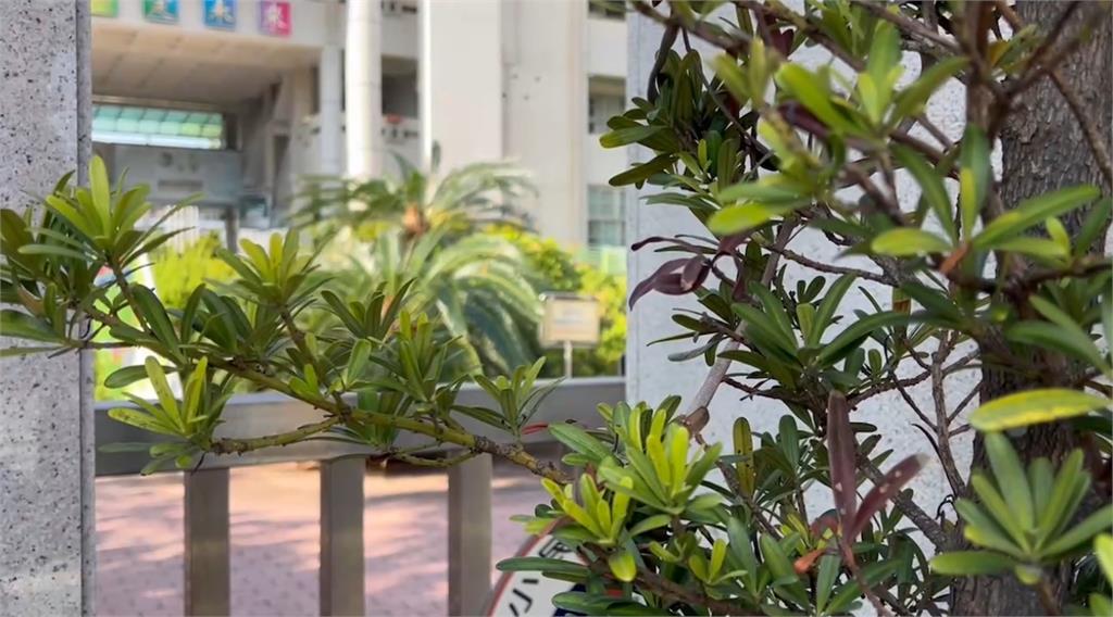 台中百年國小校歌驚見「新中國」 遭疑不合時宜